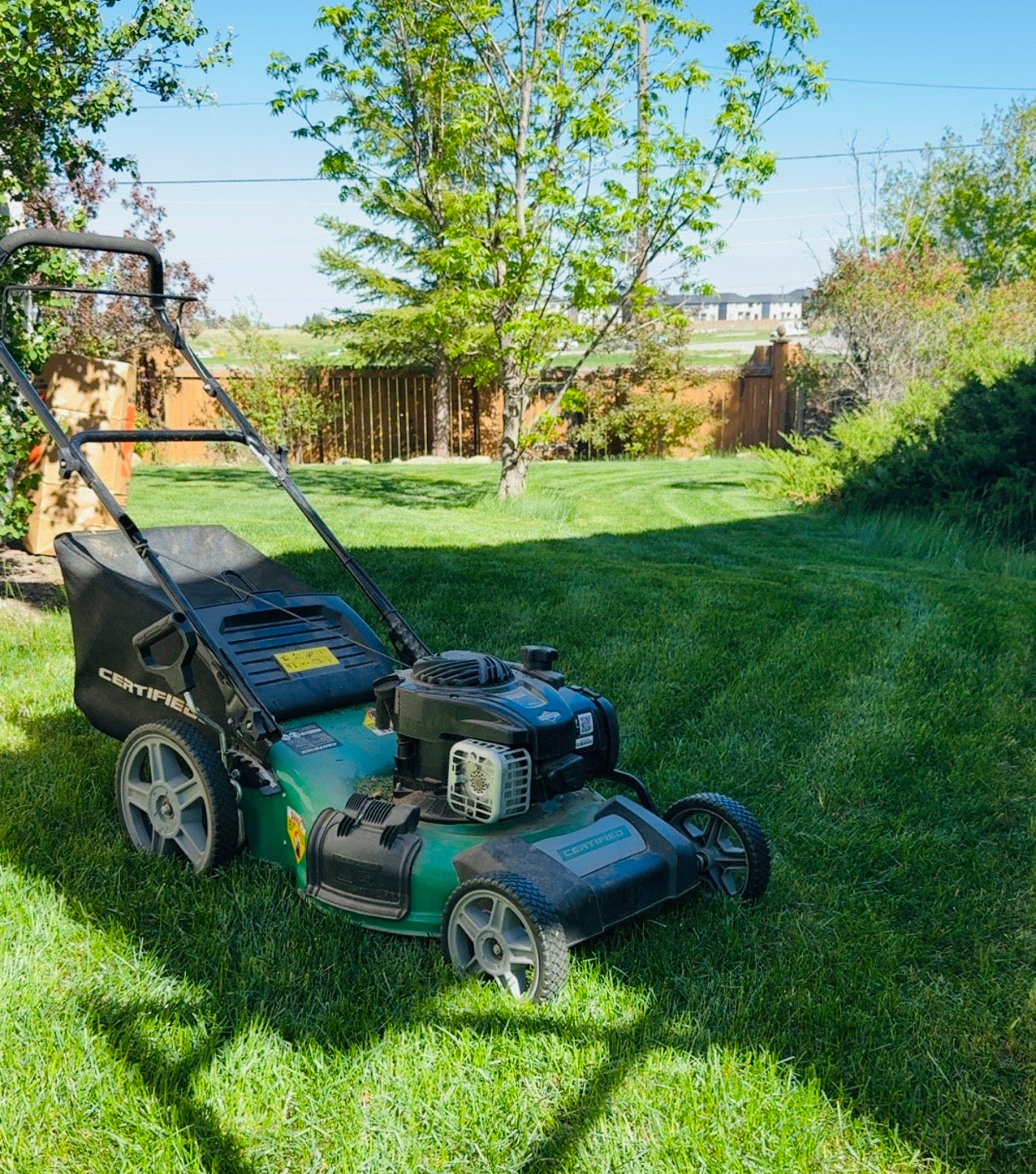 Lawn Care Service: Make Your Property Show-Ready From the Ground and the Sky