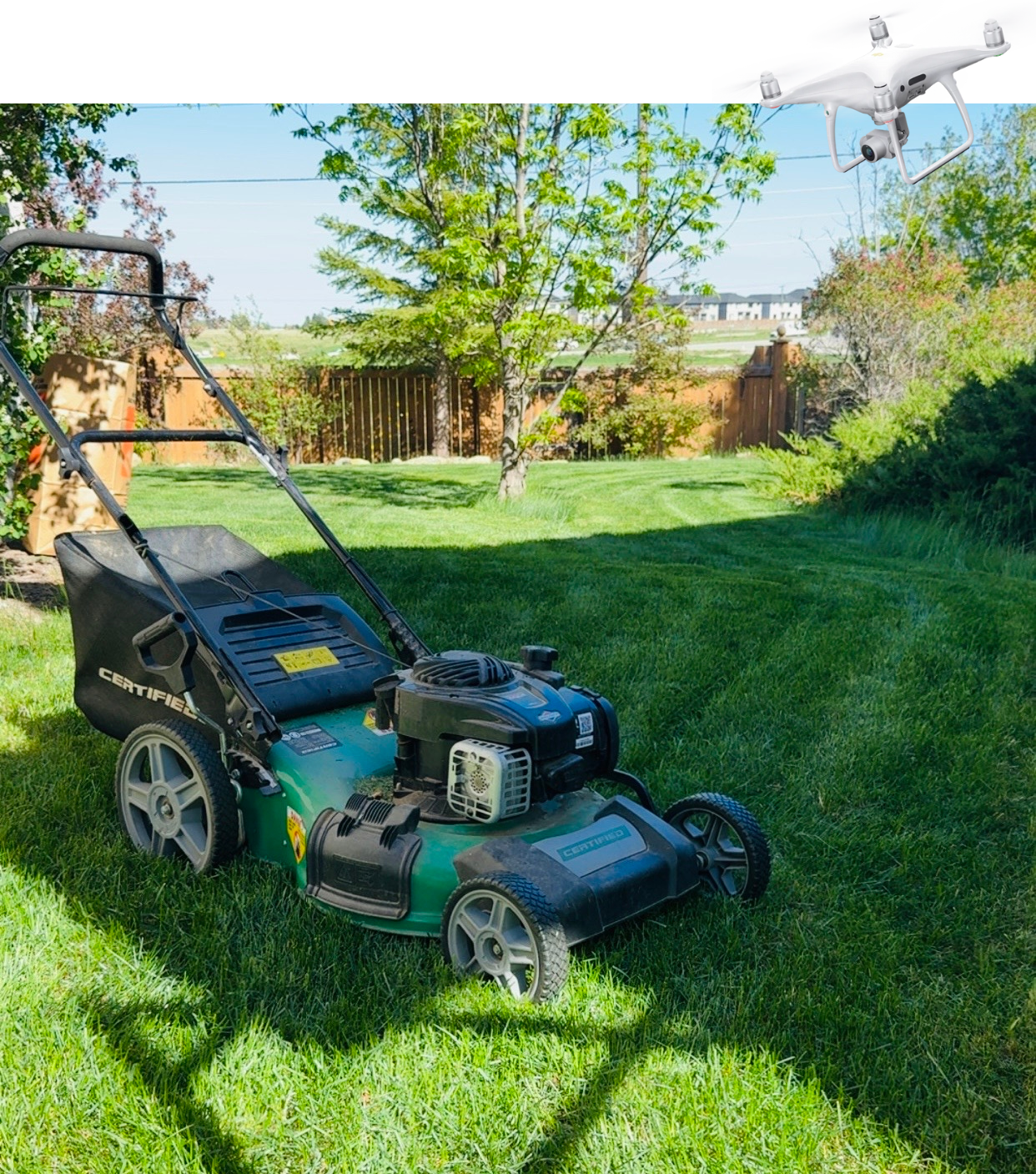 Lawn Care Service: Make Your Property Show-Ready From the Ground and the Sky